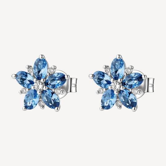 ORECCHINI BROSWAY FANCY FMP138